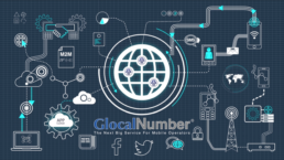 GlocalNumber Platform Overview